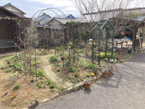 アトリエ前の庭