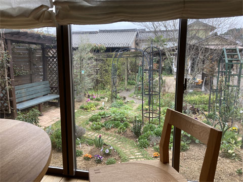 アトリエの中から見る庭