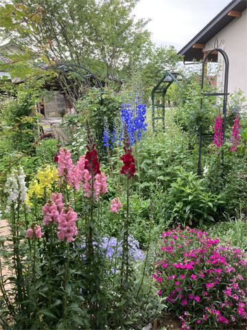 jagar's garden
