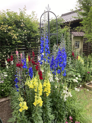 jagar's garden