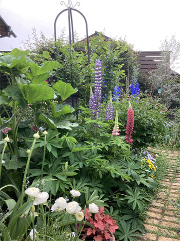 jagar's garden
