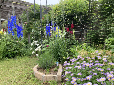 jagar's garden