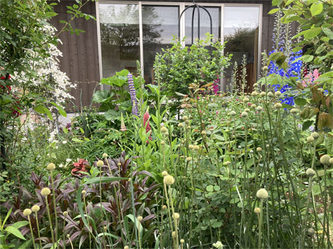 jagar's garden