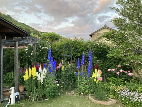 jagar's garden