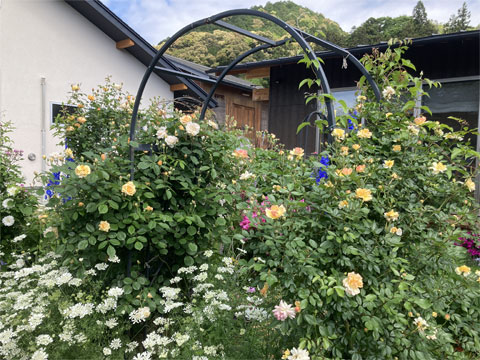jagar's garden