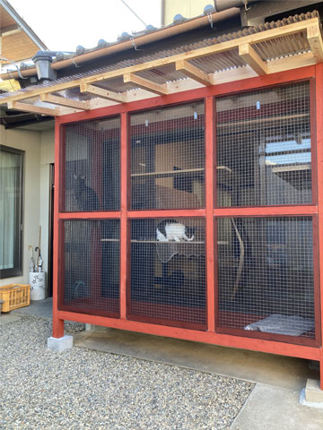 CATIO