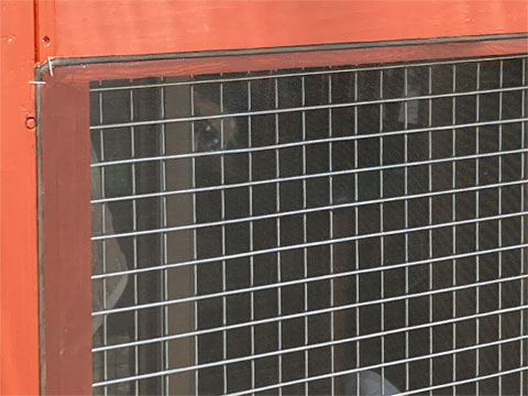 CATIO