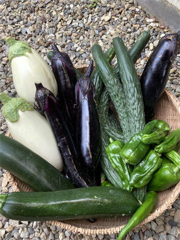 工房の野菜