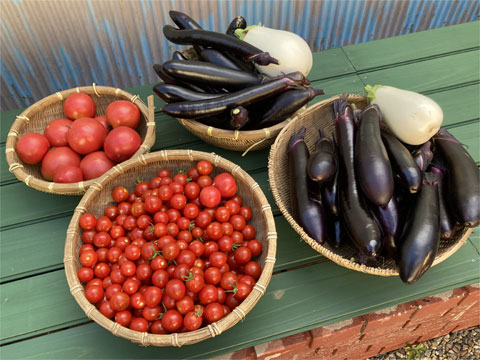畑の野菜