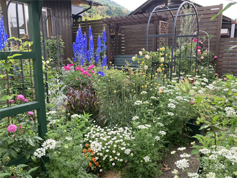 木工体験プログラムはお茶のサービス付き